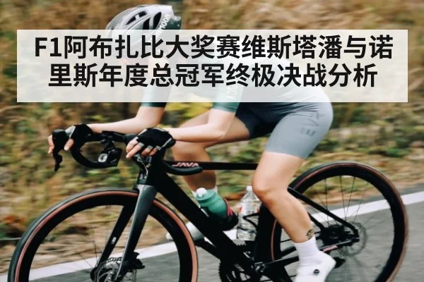 F1阿布扎比大奖赛维斯塔潘与诺里斯年度总冠军终极决战分析